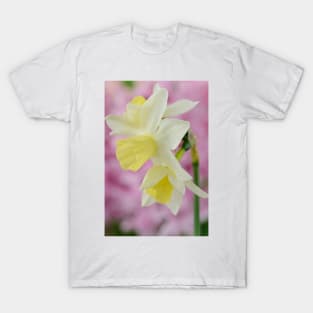 Narcissus  'Sailboat'   AGM    Division 7 Jonquilla  Daffodil T-Shirt